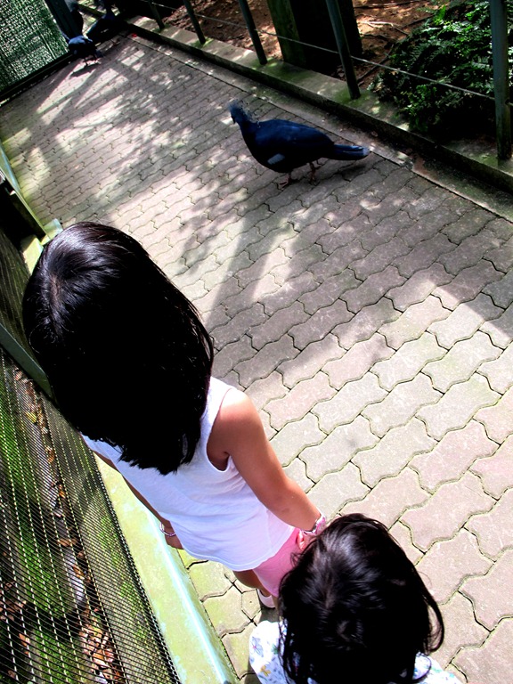 [IMG_9809%255B4%255D.jpg]