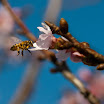 IMG_4875.jpg