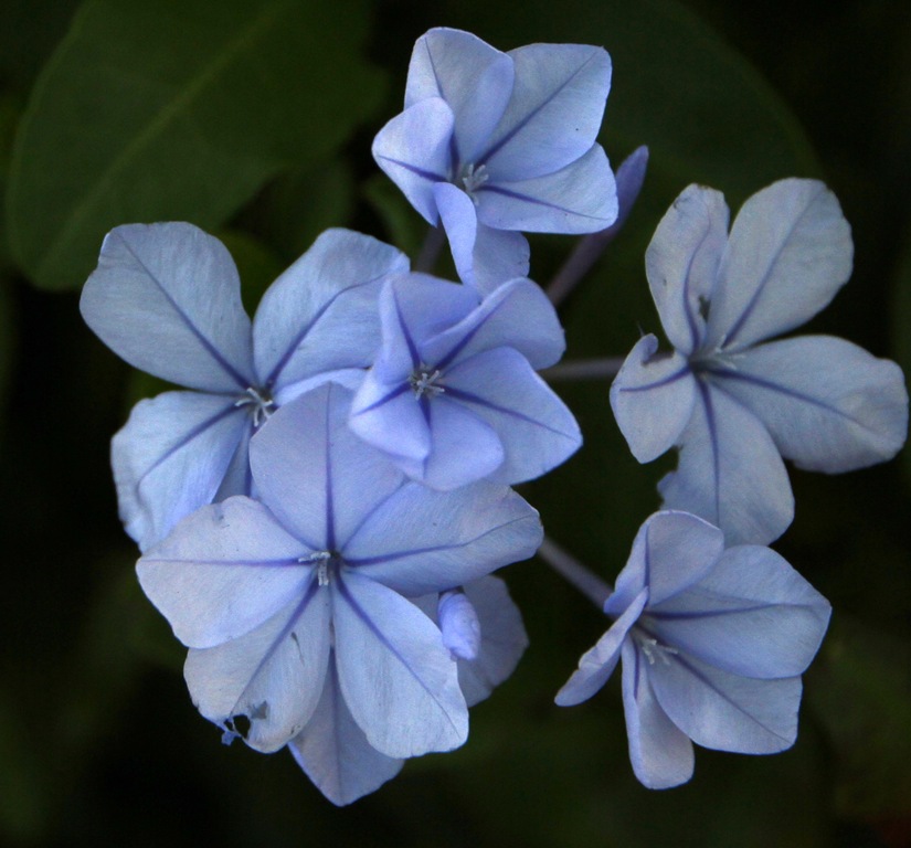 [IMG_2646%255B5%255D.jpg]