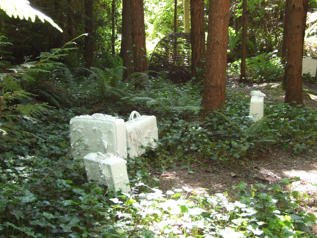 [DSCF74095.jpg]