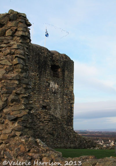 [5%2520geese-over-dundonald%255B2%255D.jpg]