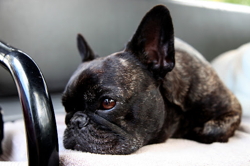 Who knew a photo shoot would be so exhausting?