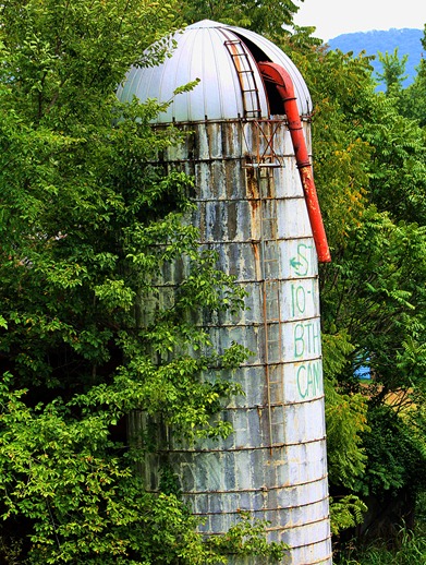 Potomac Eagle train13