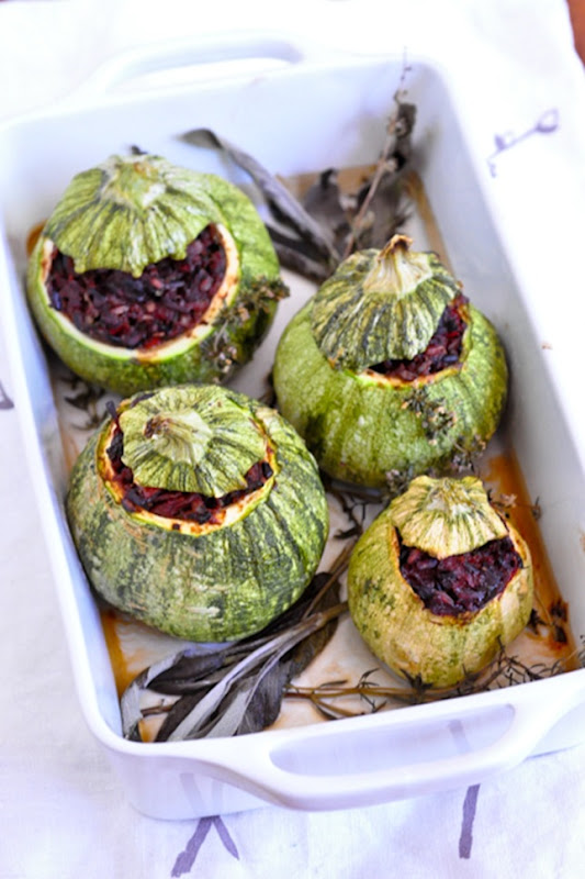 globe_zucchini-1034 globe_zucchini-1034