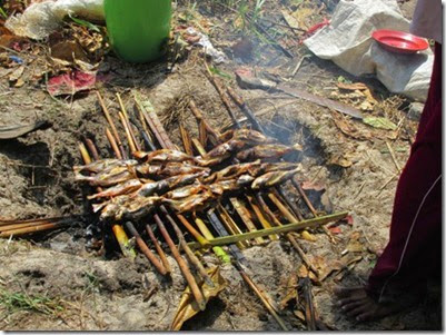 bakar ikan dengan bumbu khas karimunjawa bakar ikan dengan bumbu khas karimunjawa