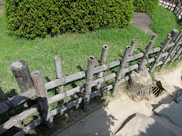 IMG_2385.JPG