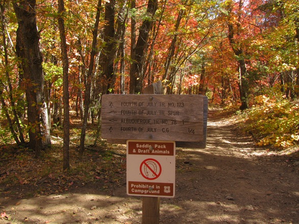 [IMG_6119%255B5%255D.jpg]
