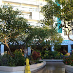 There was a nice little garden just outside the back entrance of the hotel.