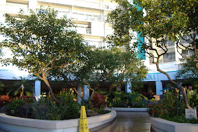 There was a nice little garden just outside the back entrance of the hotel.