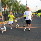 Pet Express Doggie Run 2012 Philippines. Jpg (71).JPG