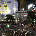 shibuya crossing by night in Tokyo, Japan 