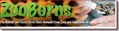 zoo borns