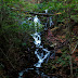 DSC_2599.JPG