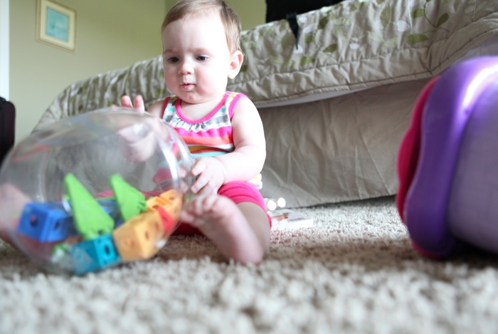 Crawl 2