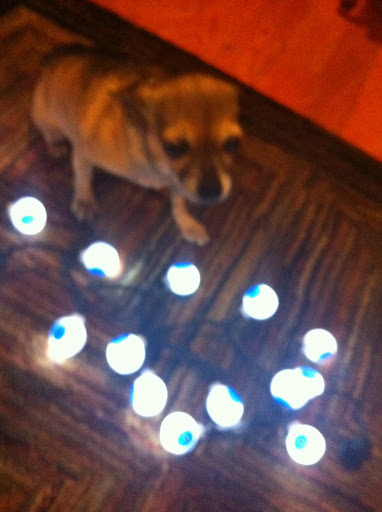 First of all, mom got these weird lights... Call me crazy but I think they look like human eyeballs! First of all, mom got these weird lights... Call me crazy but I think they look like human eyeballs!