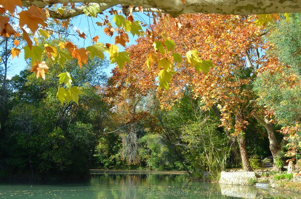 [Gl%25C3%25B3ria%2520Ishizaka%2520-%2520Outono%2520%2520-%252020%255B9%255D.jpg]