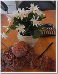 7-2012 Socken (3)