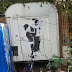 DSC02772.jpg