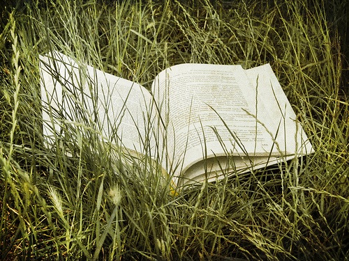 [book-in-grass5.jpg]