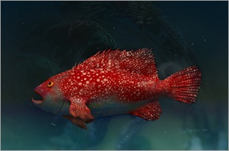 Final fishy school 1 Final fishy school 1