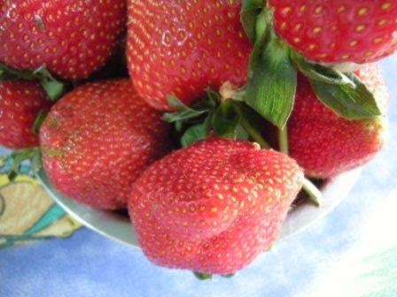 [strawberry%25205%255B3%255D.jpg]