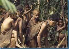 KOROWAI PHU NU TRE EM KOROWAI PHU NU TRE EM