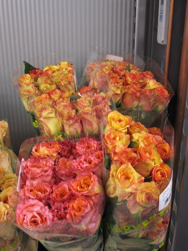 You can find many bicolor roses throughout the store -- a rose that has more than one color.