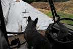 But, Sharkey, for those out there who don't keep chickens, fruit and vegetable scraps can also be used to start a compost pile.