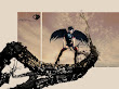 Nature Of Cute Angel