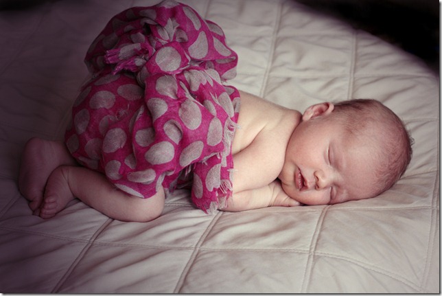 Dec 2011 Baby Haight 720EditPurple