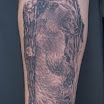 Itchy Grizzly