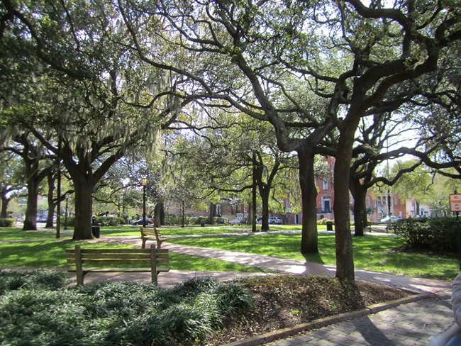 [Savannah-0101%255B1%255D.jpg]