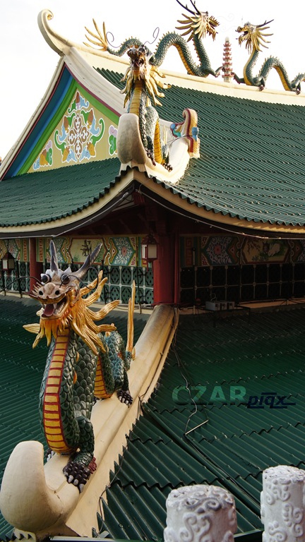 [Dragons%2527%2520Roof.jpg]