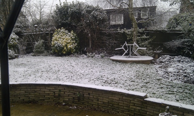 [2013-01-14%252009.44.45%255B3%255D.jpg]