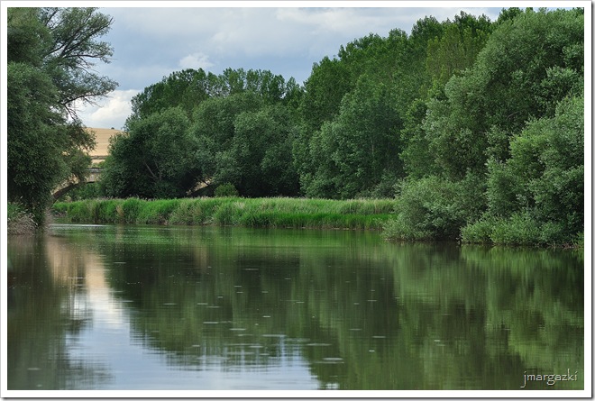 DSC_0849 DSC_0849