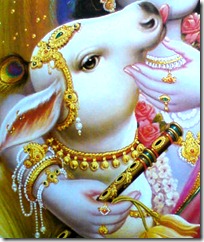 cow with Krishna