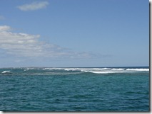 DSC01509
