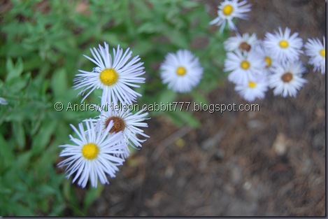 DSC_0056 DSC_0056