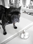 I collected these eggs this morning from the chickens. Now I'll break them into a bowl.