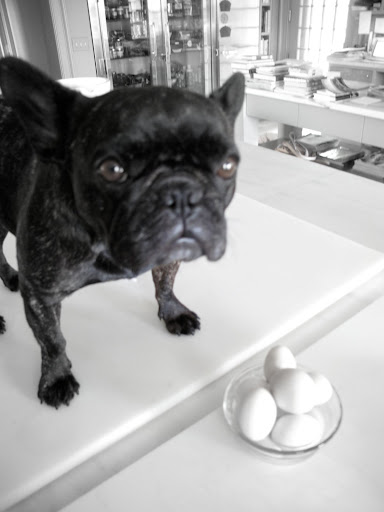 I collected these eggs this morning from the chickens. Now I'll break them into a bowl.