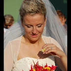 DSC_0272-1.jpg