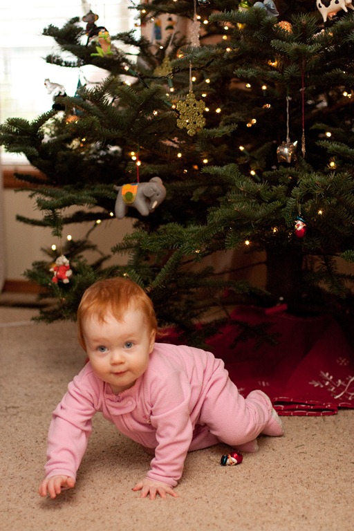 [20111216-IMG_9102%255B3%255D.jpg]