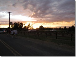 IMG_5373 IMG_5373