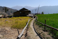 P1010930.JPG Photo