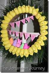 IMG_2155 IMG_2155