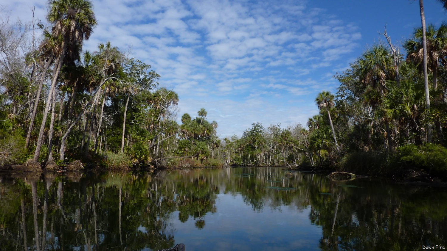 [Chassahowitza-River-canoeing_1337.jpg]