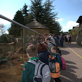 Cub Pack Holiday - Skreens Park 2012 - DSC_0118.jpg
