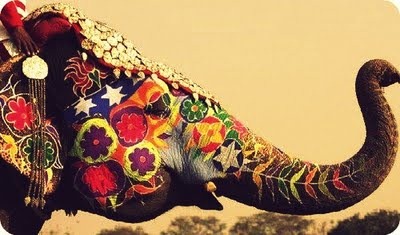 [ELEPHANTS_IQUW76%255B5%255D.jpg]