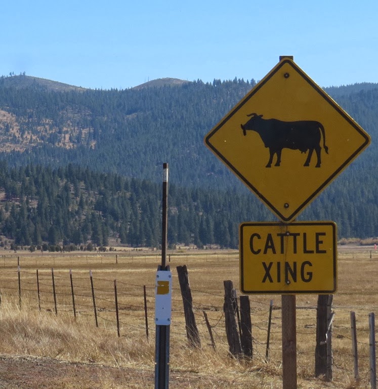 [I%2520like%2520Sierraville%2520%25202%2520CrystalHarling%255B4%255D.jpg]