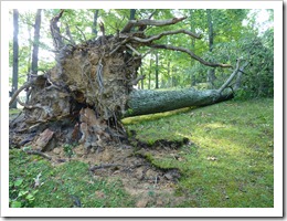 Berckey Mine Exhibition C.G WV-After the storm